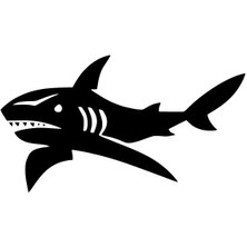 Köpek Balığı Oto Özel Yeni Sticker Siyah 30 x 18 cm
