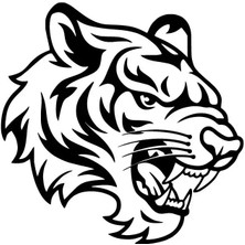 Kızgın Kaplan Oto Özel Yeni Sticker Siyah 30 x 30 cm