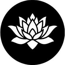 Çiçek Deseni Model 2 Oto Özel Yeni Sticker 30 x 30 cm