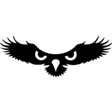 Kartalın Gözleri Oto Özel Yeni Sticker Siyah 25 x 10 cm