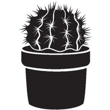 Saksı Çiçeği Kaktüs Model 6 Oto Özel Yeni Sticker 20 x 30 cm