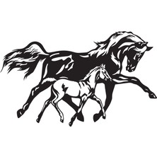 At ve Yavrusu Model 1 Oto Özel Yeni Sticker 30 x 18 cm