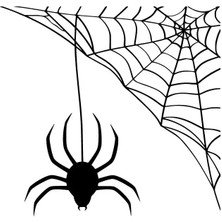 Örümcek ve Yuvası Oto Özel Yeni Sticker Siyah 30 x 27 cm