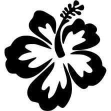 Hibisküs Çiçeği Oto Özel Yeni Sticker Siyah 30 x 30 cm