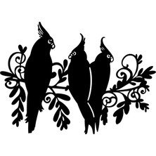 Papağan Ailesi Oto Özel Yeni Sticker 30 x 21 cm