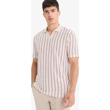 DeFacto Regular Fit Polo Yaka Çizgili Kısa Kollu Tişört F1858AX25AU
