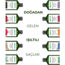 Agarta Doğal Siyah Sarımsaklı Şampuan 400 ml