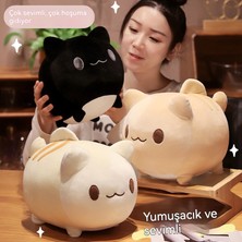 Smart Picks Yeni Yatıştırıcı Yumuşak Yavru Kedi Köfte Bebek Yuvarlak Kedi Yastık Sınır Ötesi Çıkış Mesajı Tek Bir Vakum Olabilir (Yurt Dışından)