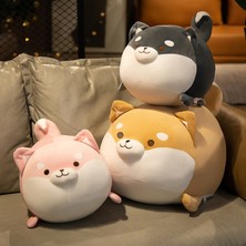Smart Picks Shiba Inu Şişman Köpek Yastık Peluş Bebek (Yurt Dışından)