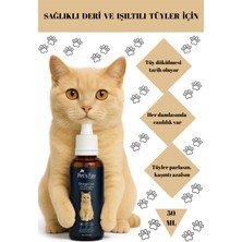 Plus B Kedi Tüy Dökülmesi Önleyici & Deri Sağlığı Damlası Biotin, Çinko ve B Vitamini 50 ml