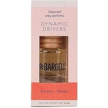 Karpuz-Mango Araç Parfümü 8 ml Dynamik Place