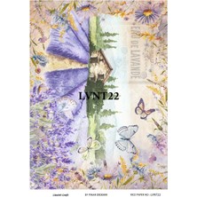 Lineart Pirinç Dekopaj Rıce Paper LVNT22