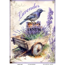 Lineart Pirinç Dekopaj Rıce Paper LVNT56