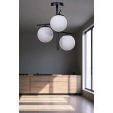 Terra 3 Lü Siyah Beyaz Camlı Plafonyer Avize