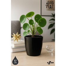 0,7 Litre 10cm Küçük Boy Tabaksız Drenaj Izgaralı Plastik Saksı Yakut No1