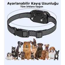 T319 Havlama Engellleyici Köpek Tasması, 5 Farklı Seçimli Çalışma Modu, Havlama Tasması