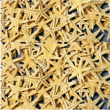 Teknotrust Doğal Deniz Yıldızı 2-3 Cm, 10'lu Paket, Şık ve Doğal Dekorasyon Ürünü