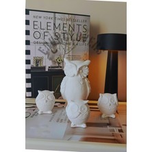 Baykuş Biblo Set 4'lü Dekoratif Obje