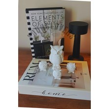 Baykuş Biblo Set 4'lü Dekoratif Obje