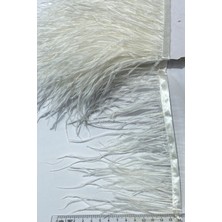 Teknotrust Kırık Beyaz Deve Kuşu Tüyü, Parti Malzemeleri, Dekoratif ve Doğal Tasarım