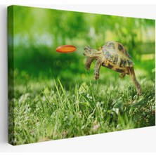 Zıplayan Kaplumbağa, Hayvan Temalı Dekoratif Kanvas Tablo, Duvar Dekoru 1122
