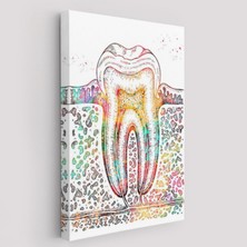 SONIKON LINE Diş Diyagramı Diş Hekimi Diş Kliniği Dekoratif Kanvas Tablo, Duvar Dekoru 6480