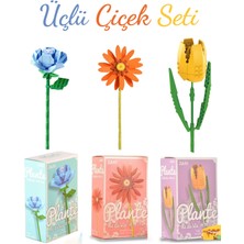 3 Lü Set  Dekoratif Gül Çiçek Buketi Yapım Seti Legosu 200 + Parça Full Set/ebedi Çiçek