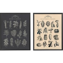 IKEA Knoppäng Duvar Tablosu 40X50 cm Çerçeveli Resim Seti Çok Renkli Salon Dekoru