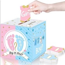 Teknotrust Cinsiyet Tahmin Kutusu Boy Girl 19X19CM, Eğlenceli ve Renkli Doğum Günü Dekorasyonu