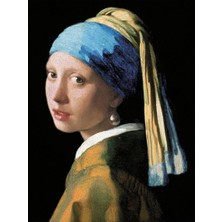 Resim, Çok Renkli, 30X40 Cm, Inci Küpeli Kız