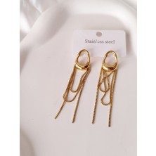Ladybirdbujiteri Lüks Sallantılı Çelik Küpe