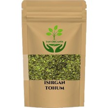 Tan Organik Doğal Isırgan Tohumu (Urtica Dioica L. ) 25GR