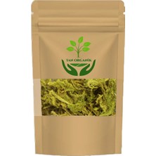 Tan Organik Kurt Pençesi (Kibritotu) (Lycapodium Clavatum) 100GR