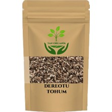 Tan Organik Dereotu Tohumu 25GR