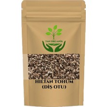 Tan Organik Hıltan Tohumu (Diş Otu) (Visnaga Daucoides) 100GR