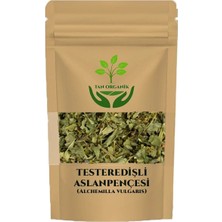 Tan Organik Aslanpençesi Çayı Testeredişli (Alchemilla Vulgaris) 50GR