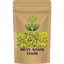 Tan Organik Kekik Bilye Top Izmir (Thymus Vulgaris) 25GR