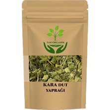 Tan Organik Dut Yaprağı Kara 1000GR
