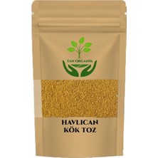 Tan Organik Havlıcan Toz (Alpinia Officinarum) 500GR