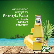 Kula Ananas Aromalı Doğal Mineralli Maden Suyu 200 ml x 24 Cam Şişe (6 x 4’lü Paket)