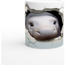 Beton Delikten Bakan Sevimli Fok Temalı Su Altı Kupa Bardak