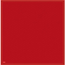 06 Belli Twill Ipek Eşarp 4055D