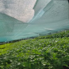 Morilu Gölgelik File Bahçe Gölgelik - 75lik - 5 Metre En Yeşil - Şeritli Halkalı - Plaj Gölgelik Tekne Gölgeliği