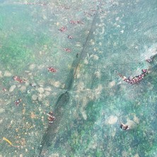 Morilu Gölgelik File Kamp Gölgeliği - 75lik - 3 Metre En Yeşil - Düz Kenar - İnşaat Filesi Zeytin Toplama Filesi