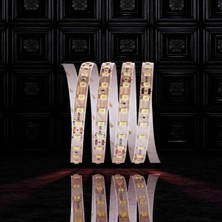 120 Çip Şerit LED (Günışığı) CT-4540G 5mt