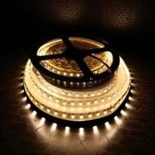 10 Çip Şerit LED Iç Mekan (Günışığı) CT-4481 5mt