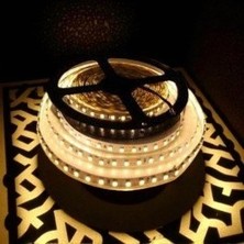 10 Çip Şerit LED Iç Mekan (Günışığı) CT-4481 5mt