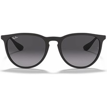 Ray-Ban Rb4171 622/8G Kadın Güneş Gözlüğü
