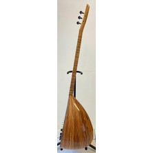 Artemis Model 2 Elektro Bağlama (Leslili)