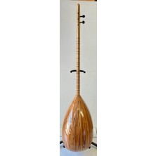 Artemis Model 2 Elektro Bağlama (Leslili)